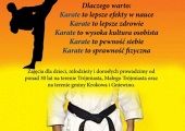 Grafika #0: Karate w Gminie Krokowa