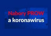 Grafika #0: Nabory PROW a koronawirus